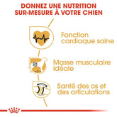 Royal Canin Aliment Sec Chien Rottweiler Adulte 12 Kg PROMO